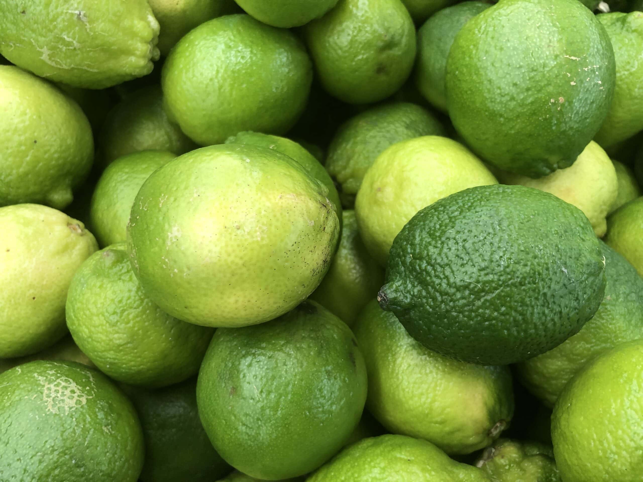 Two limes, one dark green and bumpy and one light green and smooth, side by side.
