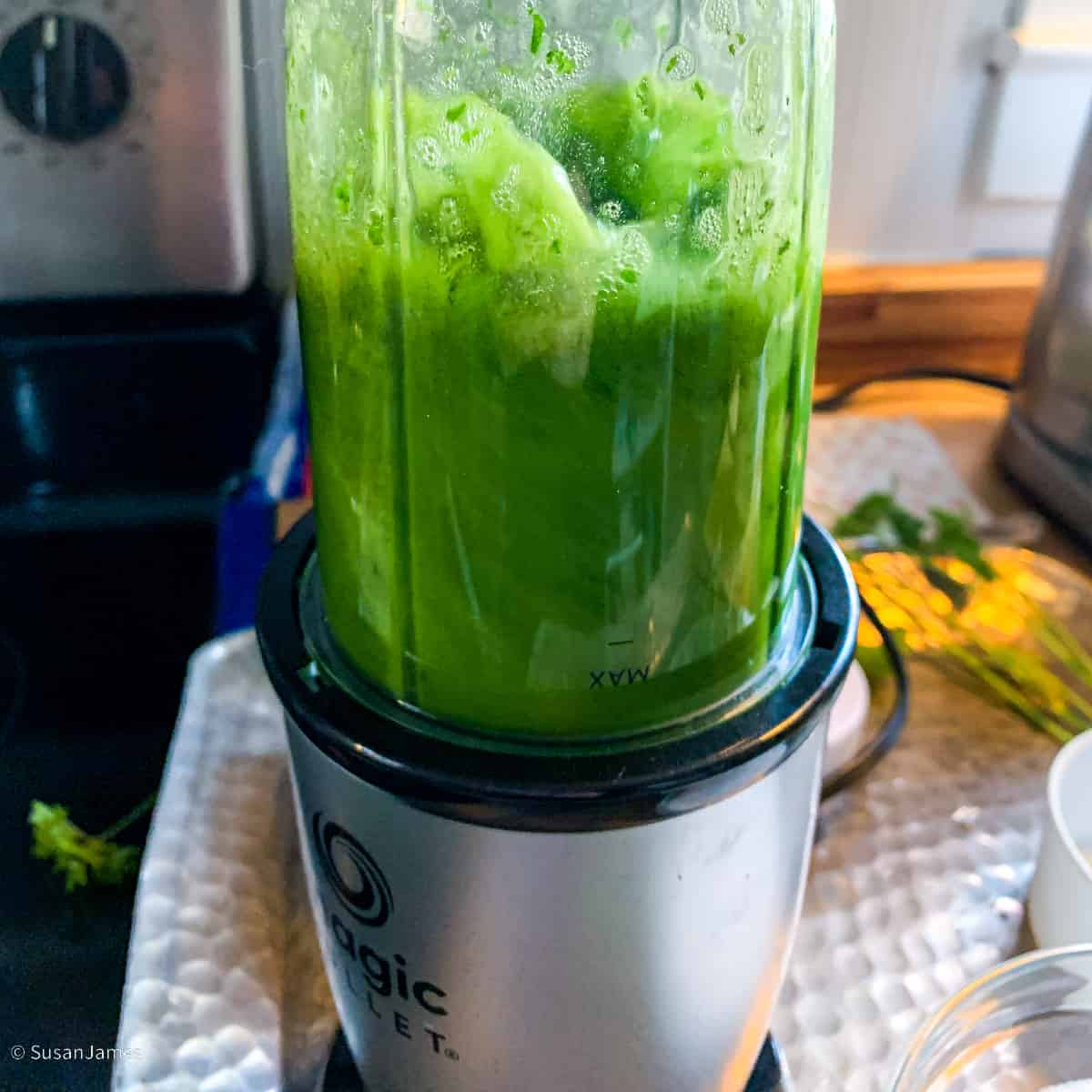 parsley and water in a small blender.