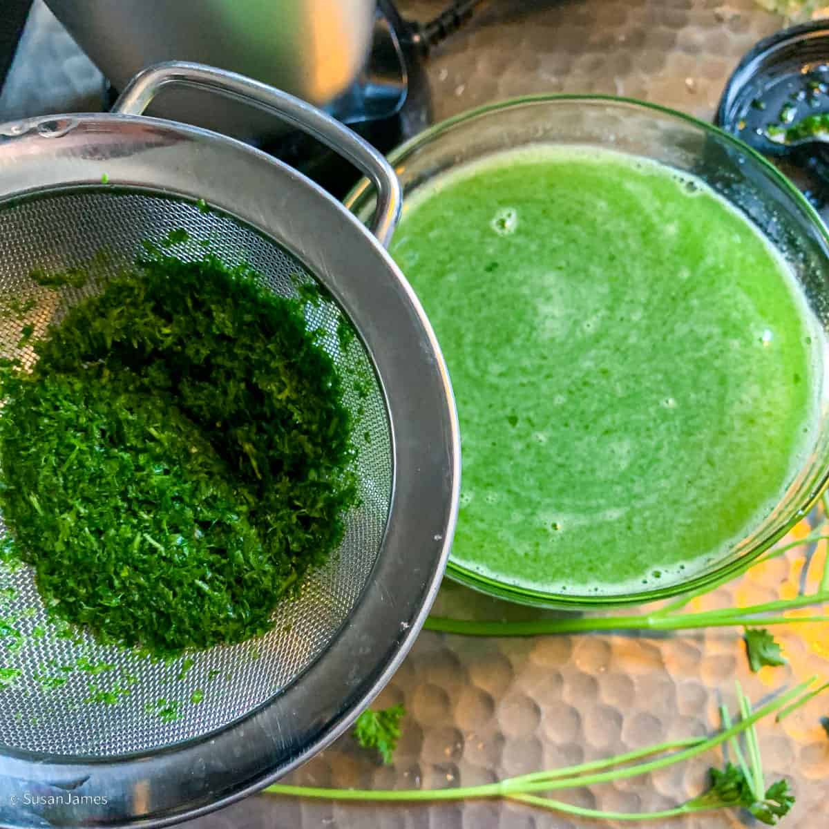 strained parsley after it's been blended with water.