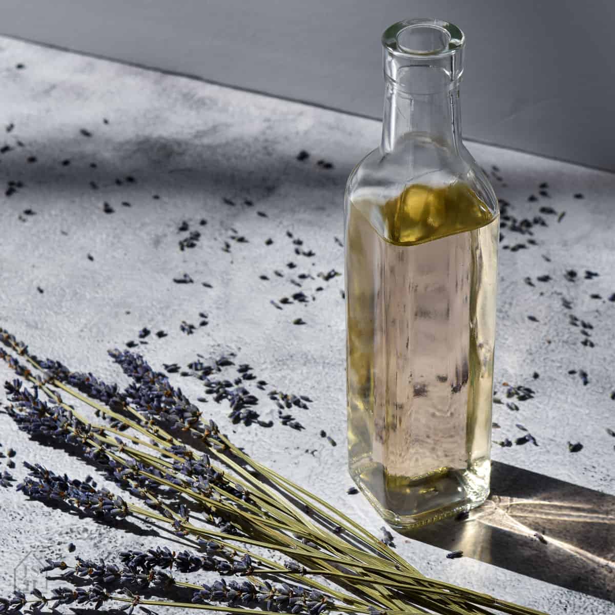 Lavender Simple Syrup