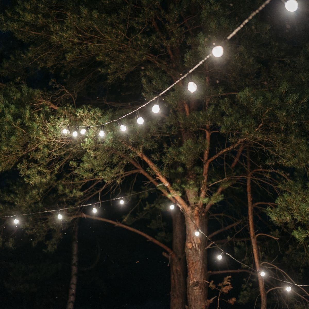 Outdoor string lights.